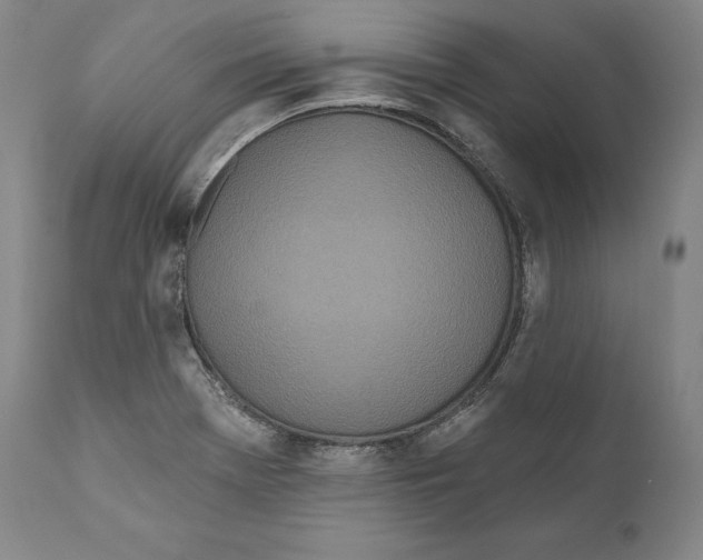 X0000110721369200907101354