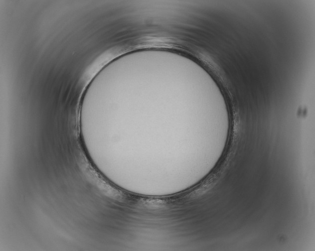 X0000110721370200907101354