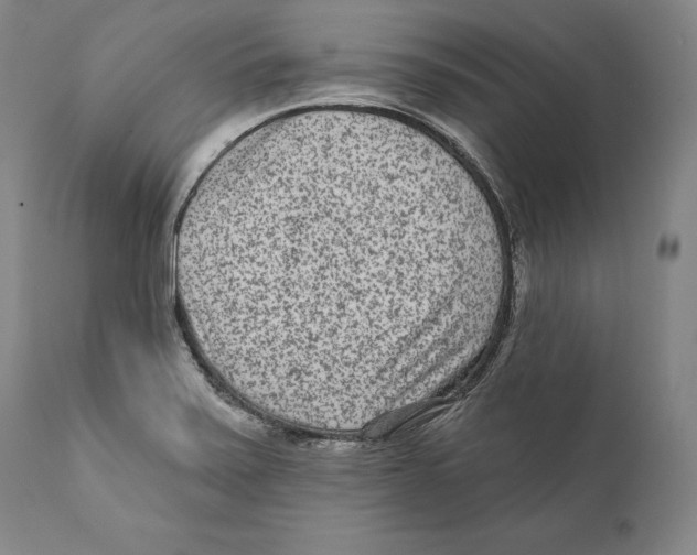 X0000110721371200907101354