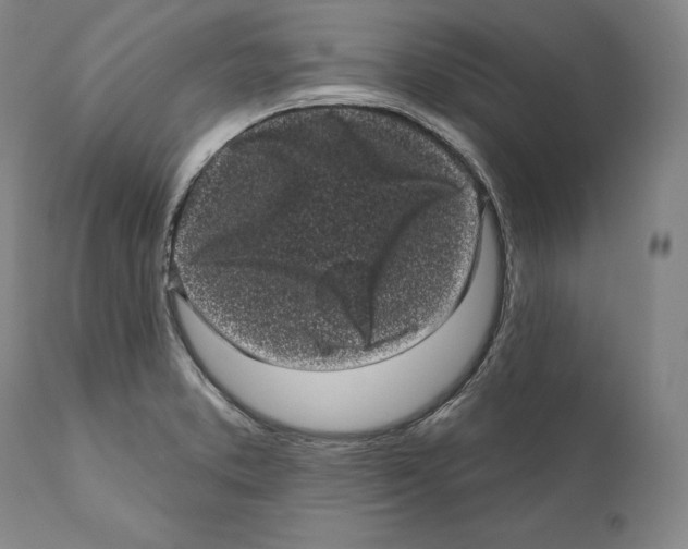 X0000110721373200907101354