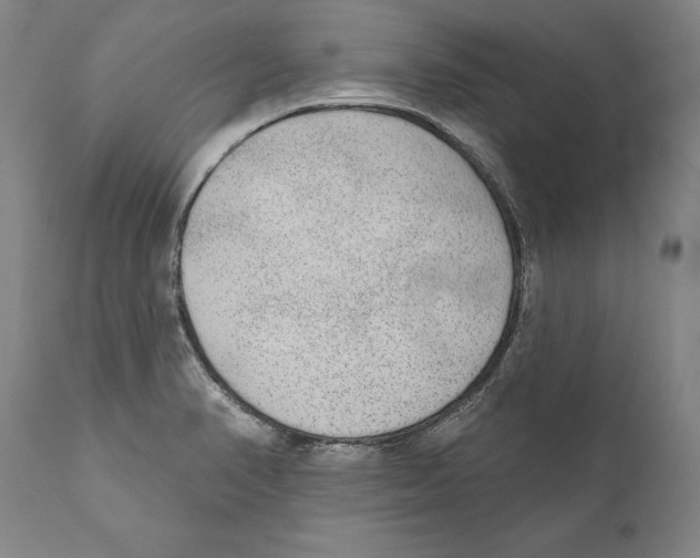 X0000110721374200907101354