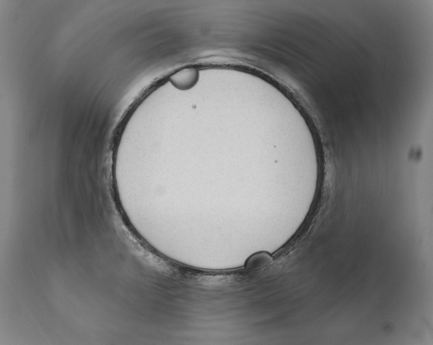 X0000110721376200907101354