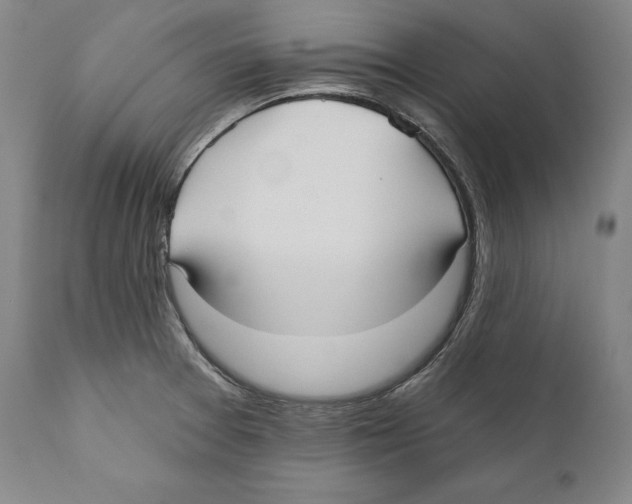 X0000110721377200907101354