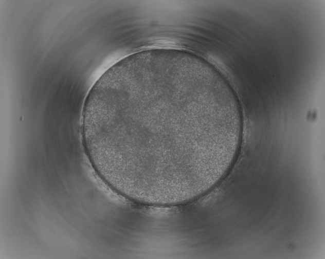 X0000110721378200907101354