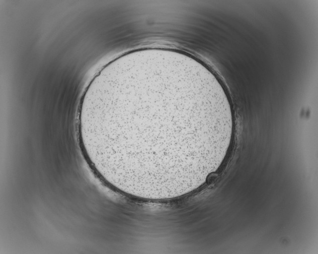 X0000110721379200907101354