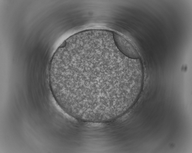 X0000110721382200907101354