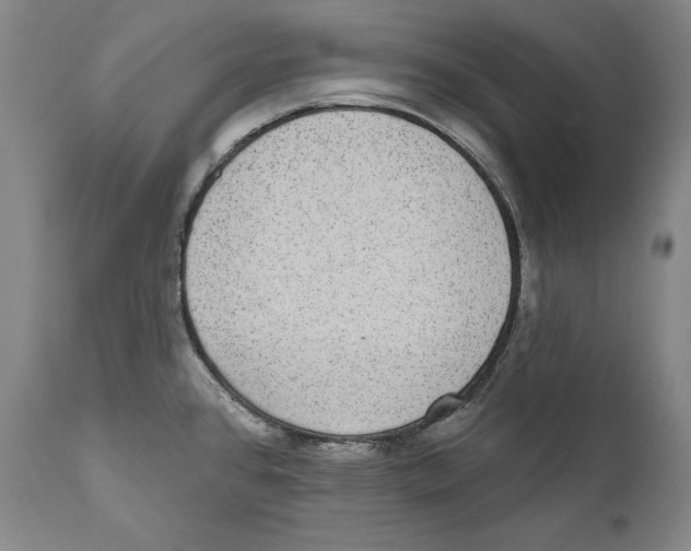 X0000110721384200907101354