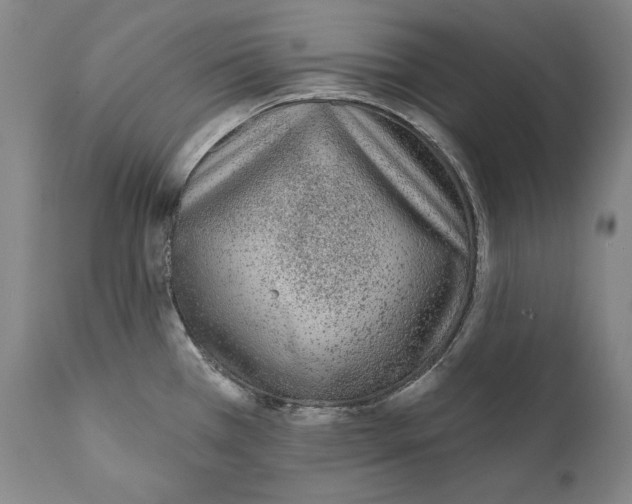 X0000110721385200907101354