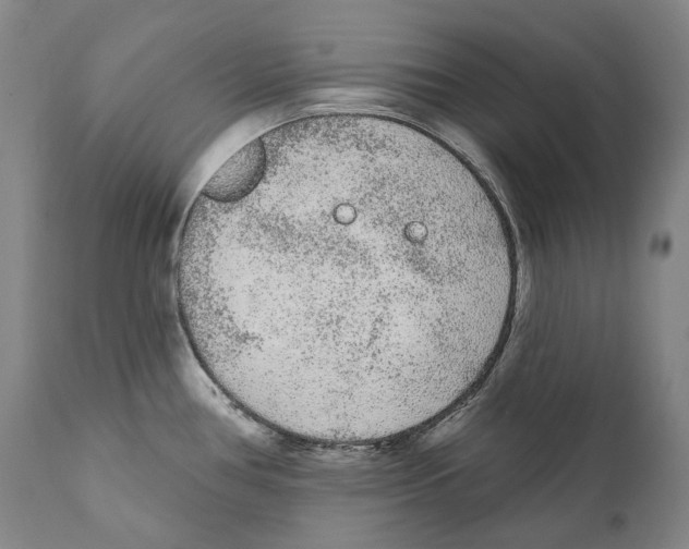 X0000110721386200907101354