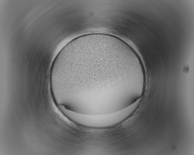 X0000110721389200907101354