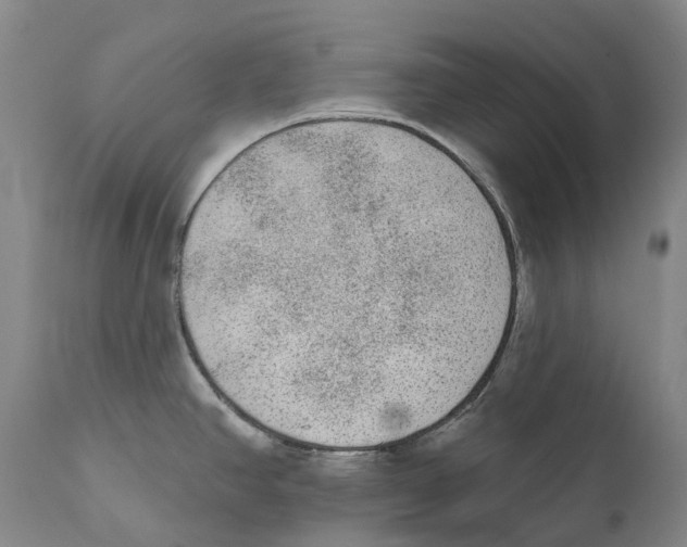 X0000110721390200907101354