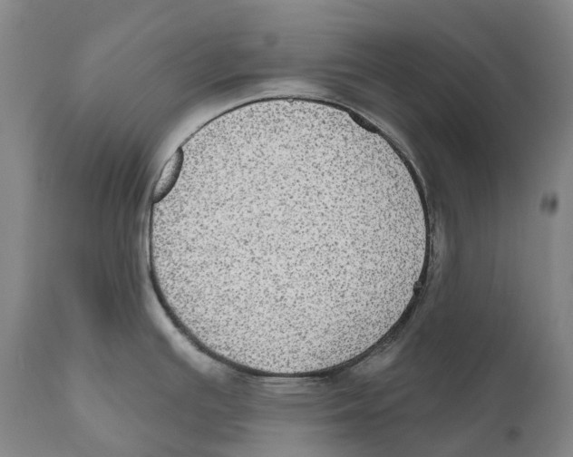 X0000110721391200907101354