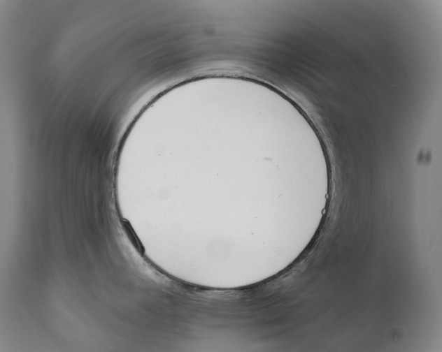 X0000110721392200907101354