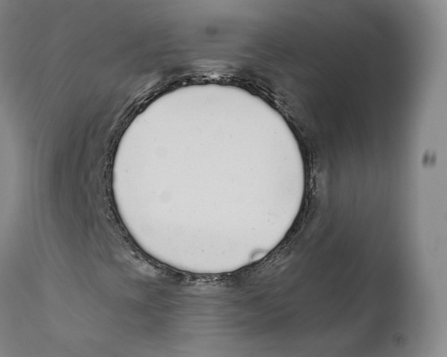 X0000110721393200907101353