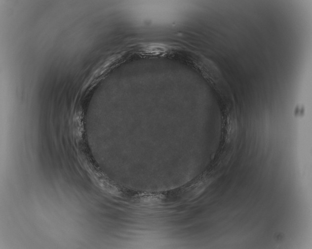 X0000110721394200907101353