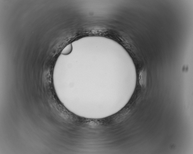 X0000110721395200907101353