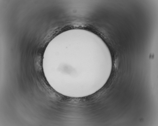 X0000110721396200907101353