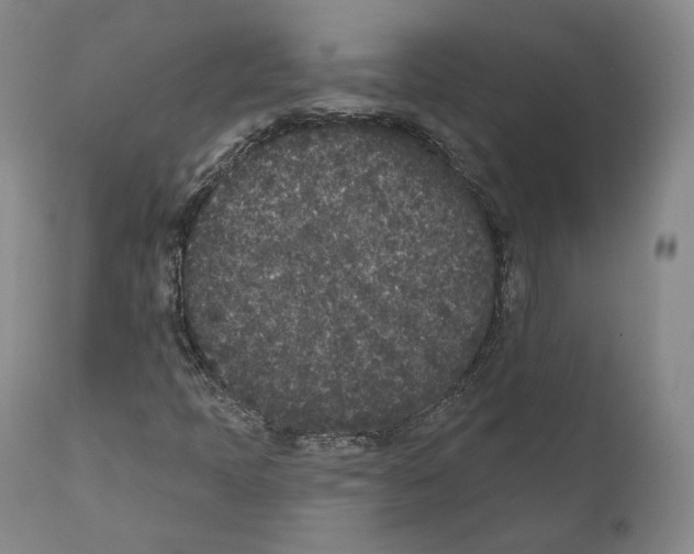 X0000110721397200907101353