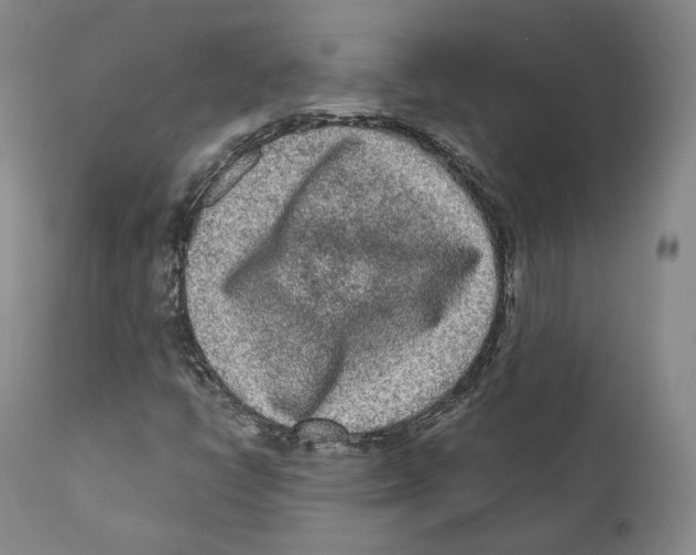 X0000110721398200907101353