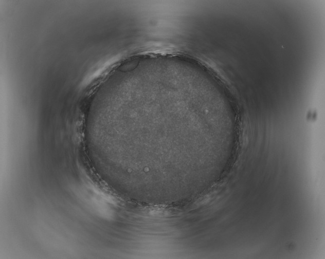 X0000110721399200907101353