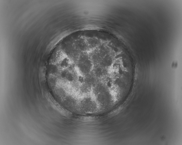 X0000110721401200907101353