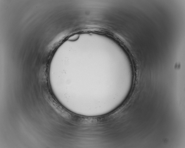 X0000110721403200907101353