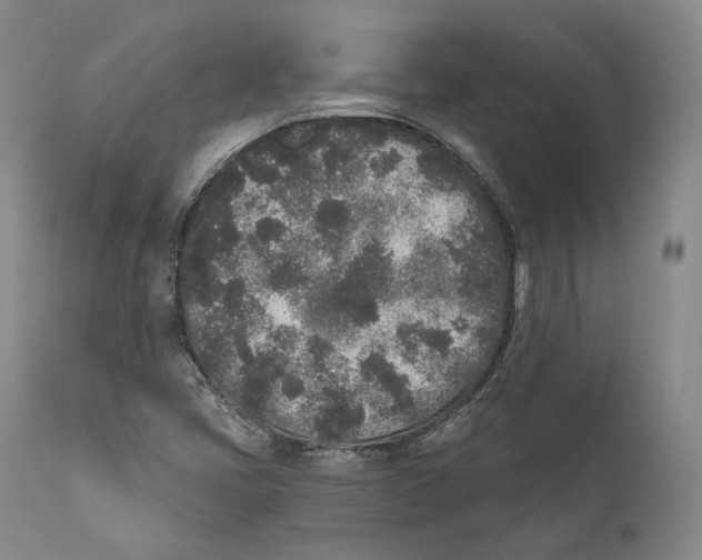 X0000110721405200907101353