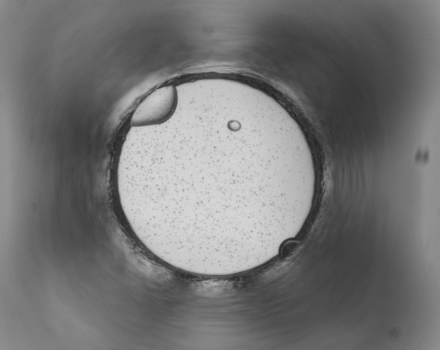 X0000110721406200907101353