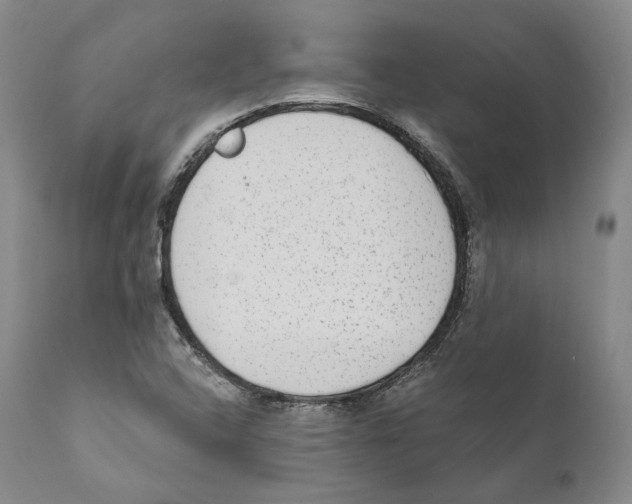 X0000110721408200907101353