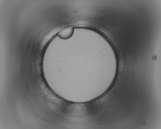 X0000110721410200907101353