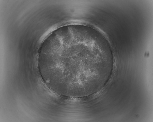 X0000110721411200907101353