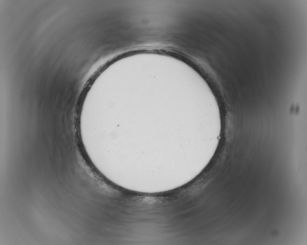 X0000110721412200907101353