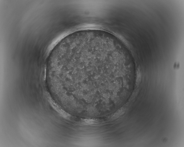 X0000110721413200907101353