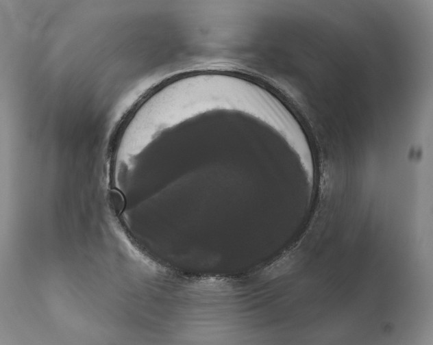 X0000110721414200907101353