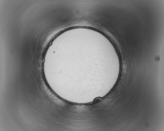 X0000110721416200907101353