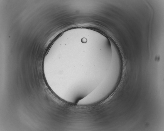 X0000110721417200907101353