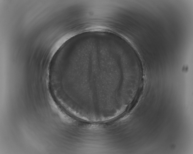 X0000110721418200907101353