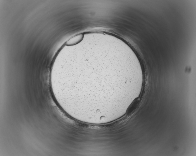 X0000110721420200907101353