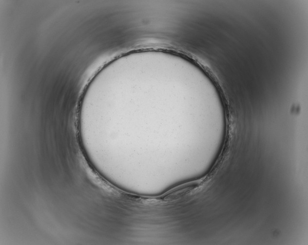 X0000110721421200907101353