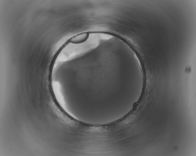 X0000110721422200907101353