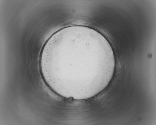 X0000110721423200907101353