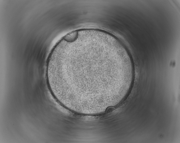 X0000110721424200907101353