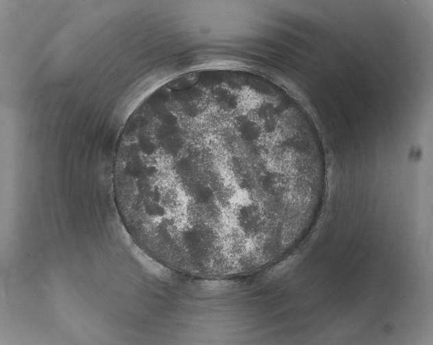 X0000110721425200907101353