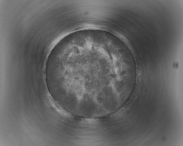 X0000110721427200907101353