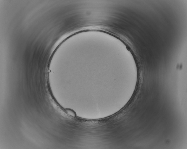 X0000110721428200907101353