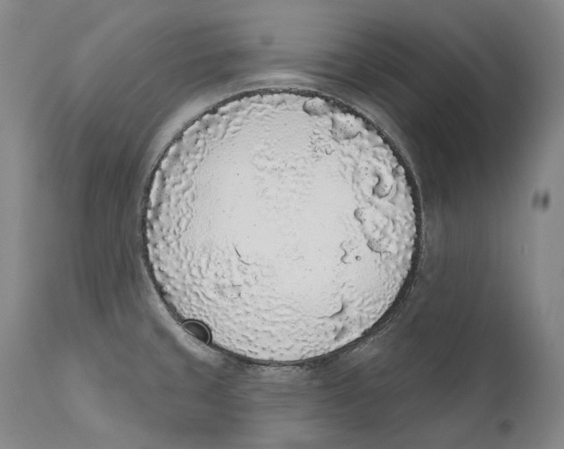 X0000110721429200907101353