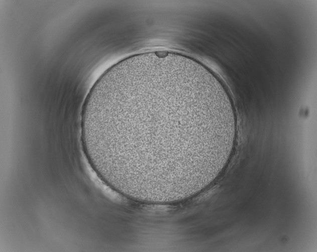 X0000110721431200907101353