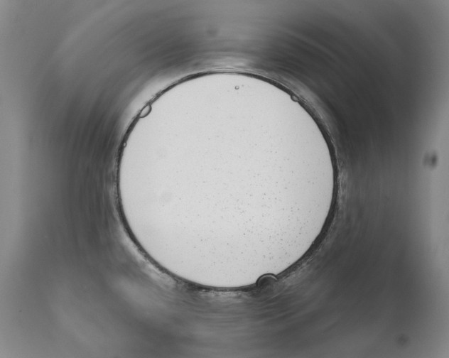 X0000110721432200907101353