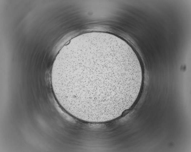 X0000110721433200907101353