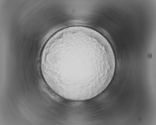 X0000110721435200907101353